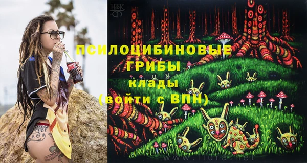 прущий лед Долгопрудный