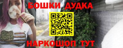 индика Гай