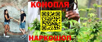 индика Гай