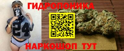 индика Гай
