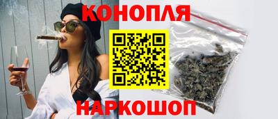 индика Гай