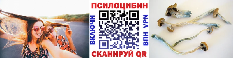 Псилоцибиновые грибы Magic Shrooms  купить   Алексин 