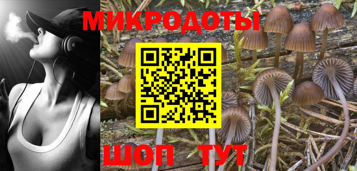 Галлюциногенные грибы Psilocybine cubensis  Галлюциногенные грибы прущие грибы  Алексин  Вход с VPN 