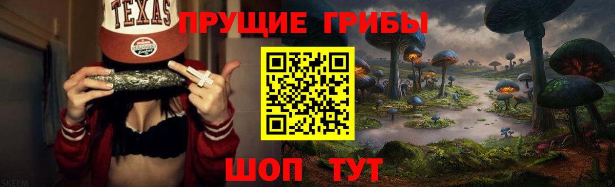 Псилоцибиновые грибы прущие грибы  Алексин 