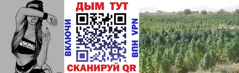 blacksprut вход  Алексин  Шишки марихуана планчик 